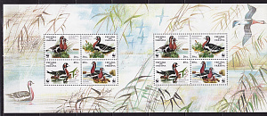 Украина , 1998, Утки, Казарка, WWF, малый лист